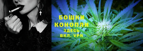 дживик Богородицк