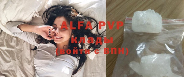 дживик Богородицк