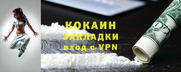 ГАЛЛЮЦИНОГЕННЫЕ ГРИБЫ Богданович