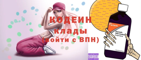 дживик Богородицк
