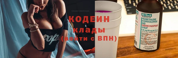дживик Богородицк