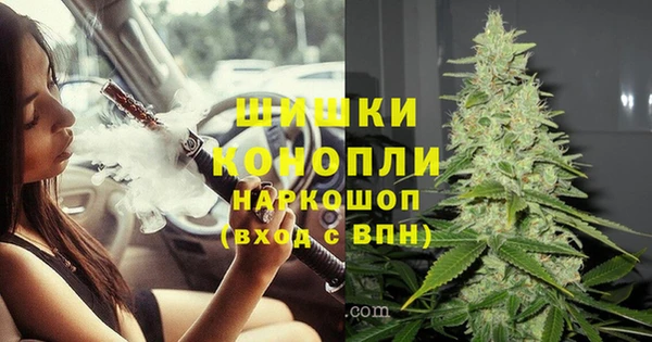 ГАЛЛЮЦИНОГЕННЫЕ ГРИБЫ Богданович