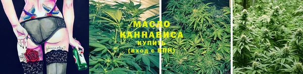 ГАЛЛЮЦИНОГЕННЫЕ ГРИБЫ Богданович
