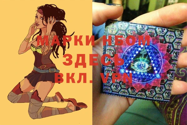 дживик Богородицк