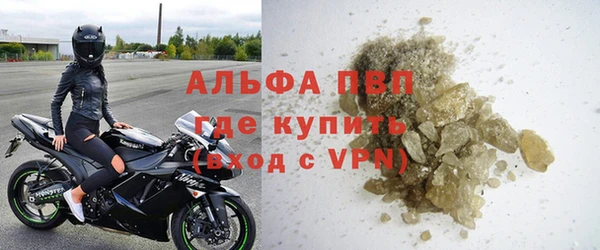ГАЛЛЮЦИНОГЕННЫЕ ГРИБЫ Богданович
