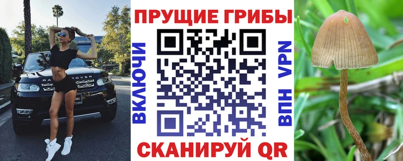 Галлюциногенные грибы Cubensis  OMG онион  Альметьевск 